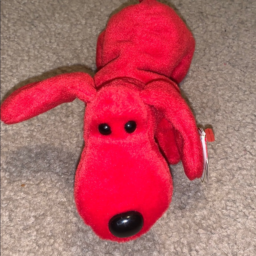 Rover the dog